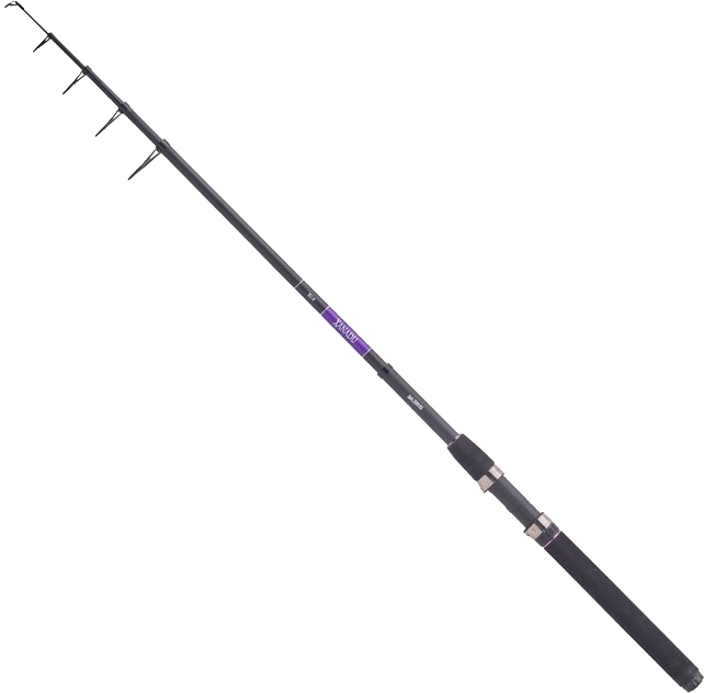 

Удилище спиннинговое Balzer Xanadu 240 м 10-40 г (11110 240)