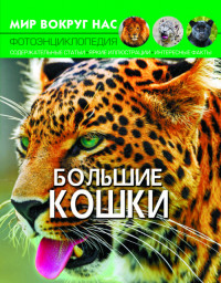 

Мир вокруг нас. Большие кошки. Фотоэнциклопедия (18274322)