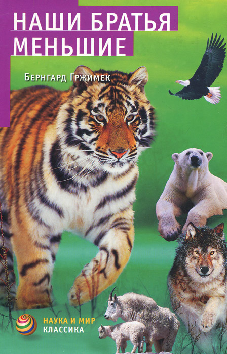 

Наши братья меньшие
