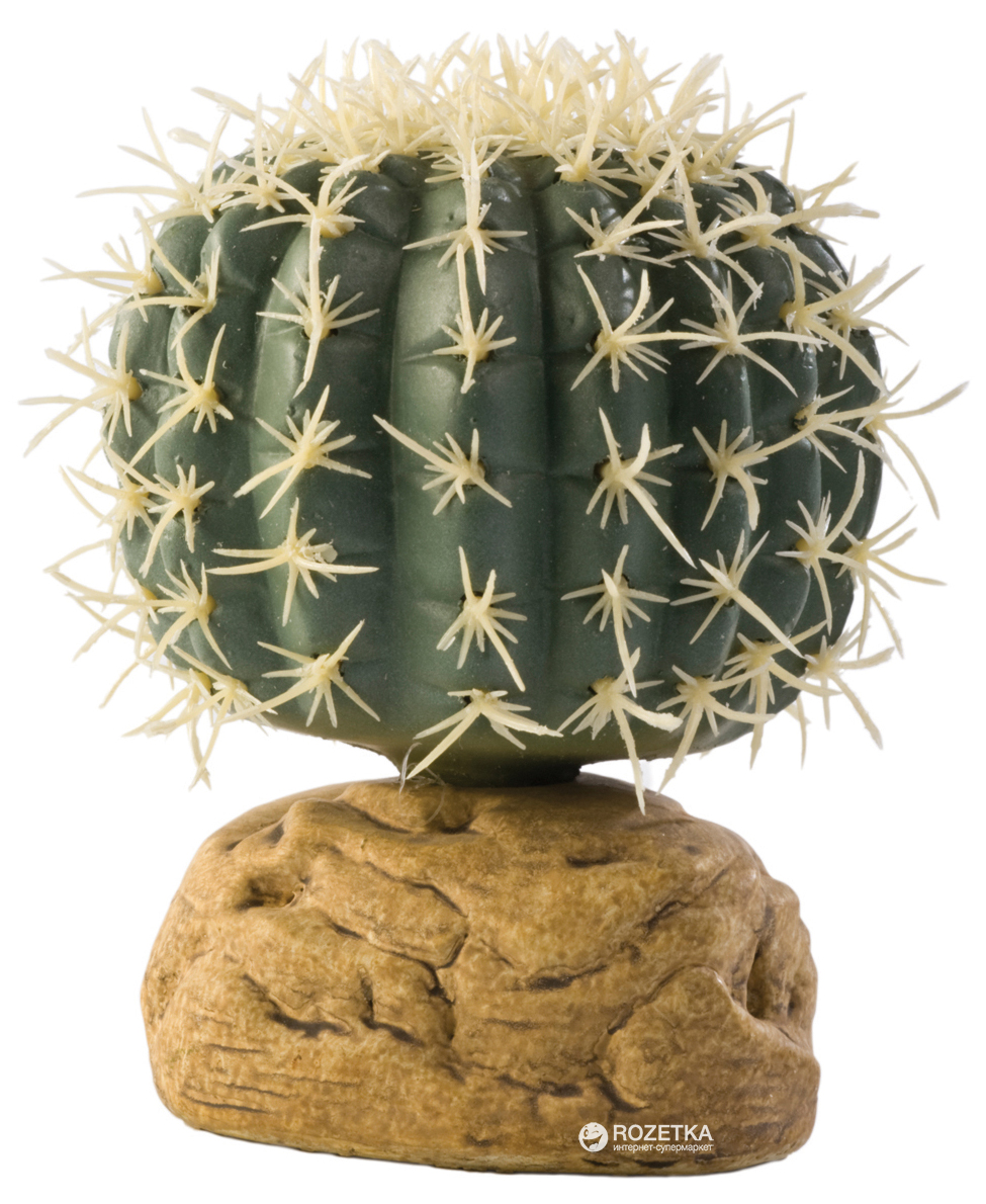 

Растение Hagen Barrel Cactus Small (015561229807)