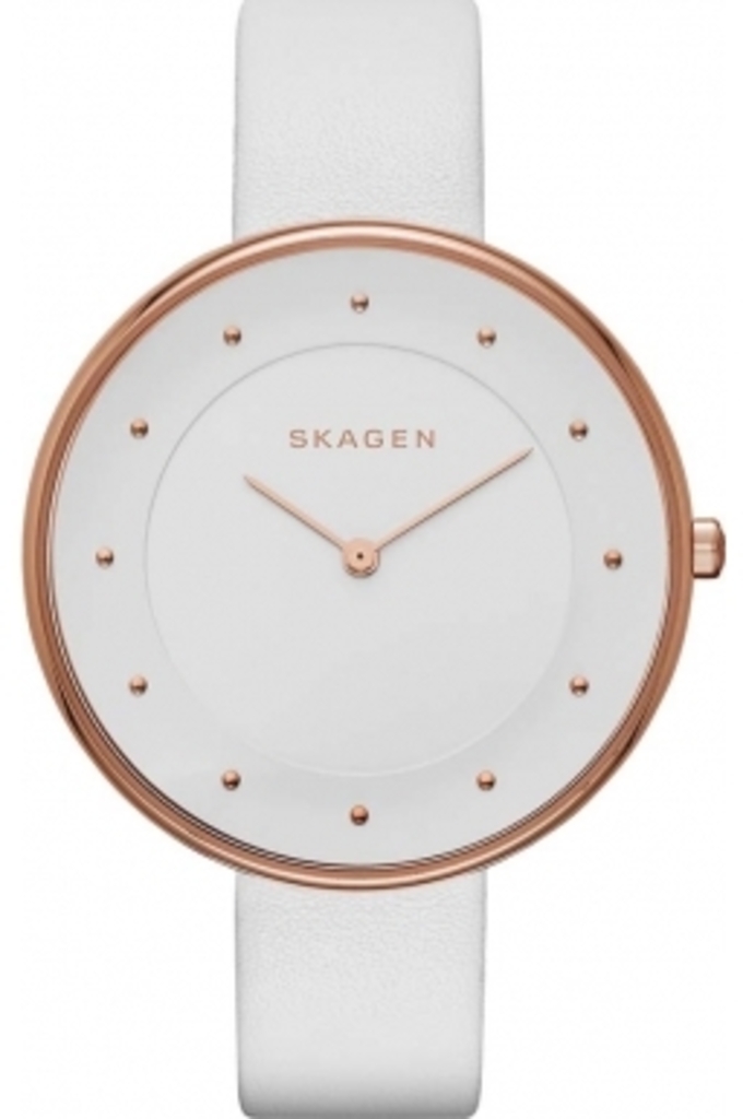 

Женские часы Skagen SKW2291