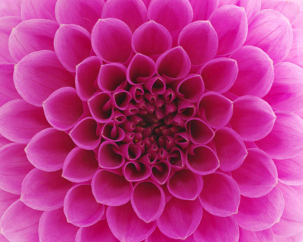 14014