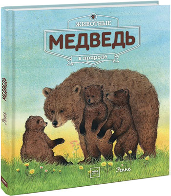 

Животные в природе. Медведь
