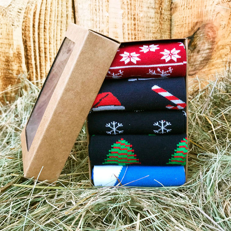 

Набор носков The Pair of Socks 5P-111-NY/BX 38-40 (5 пар) Разноцветный