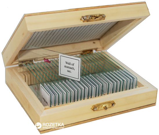 

Набор слайдов Sigeta Анатомия 25 шт (65105)
