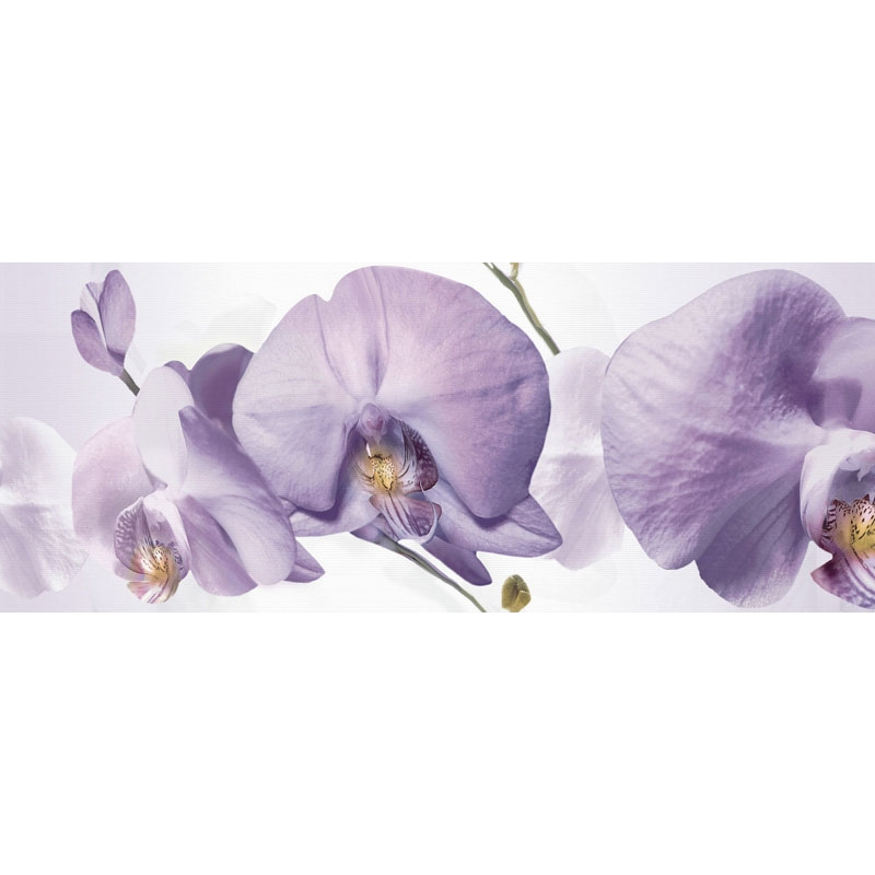 

Декор Halcon Colours Orquideas Berenjena лиловый 200x500 (016305)