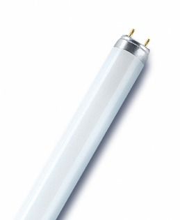 

Люминесцентная лампа OSRAM L36W/77 G13 Fluora (4050300003184)