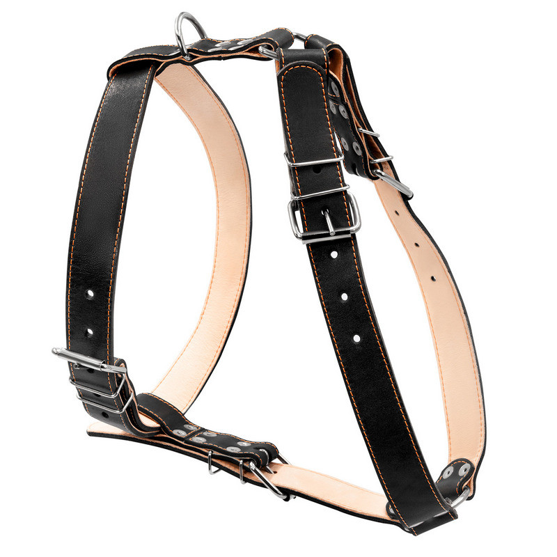 

Шлея двойная CoLLaR кожа черный для крупных собак 06491