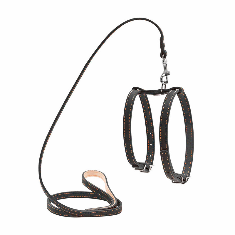 

Шлея CoLLaR кожа черный с поводком для мелких собак 05471 (4820082492670)