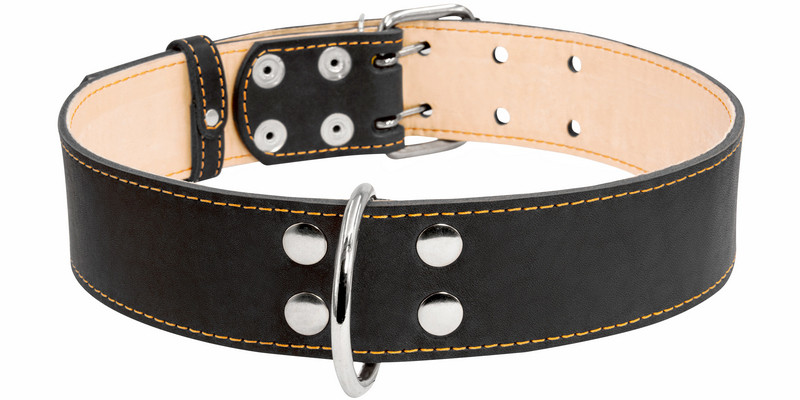 

Ошейник двойной CoLLaR кожа черный 03591 (4820082492120)