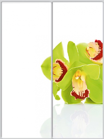 

Шкаф купе Luxe Studio Стандарт-1 Фотопечать Природа-3 1500x2100x450 двухдверный