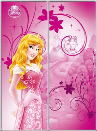 

Шкаф купе Luxe Studio Стандарт-1 Фотопечать Disney-1 1100x2300x450 двухдверный