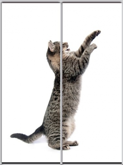 

Шкаф купе Luxe Studio Стандарт-1 Фотопечать Животные-9 1700x2000x450 двухдверный