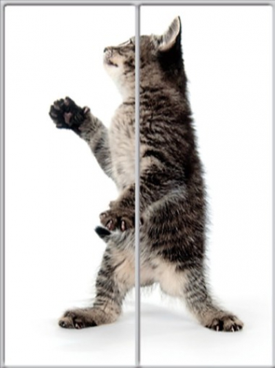 

Шкаф купе Luxe Studio Стандарт-1 Фотопечать Животные-12 1300x2300x450 двухдверный