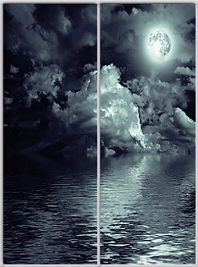 

Шкаф купе Luxe Studio Стандарт-1 Фотопечать Природа-5 1300x2400x450 двухдверный