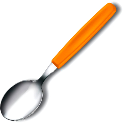 

Ложка столовая Victorinox Standard Table 20 см Orange (5.1556.L9)