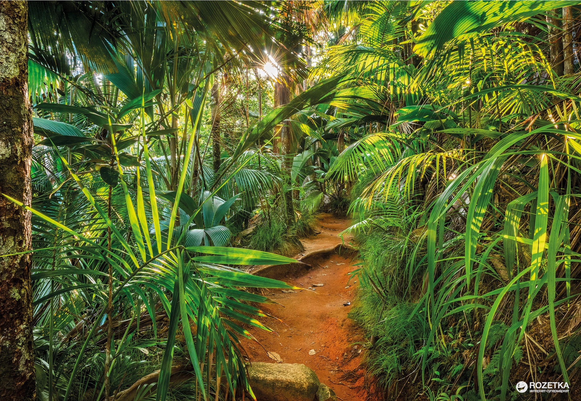 

Фотообои бумажные Komar Jungle Trail 368х254 см 8 сегментов (8-989)