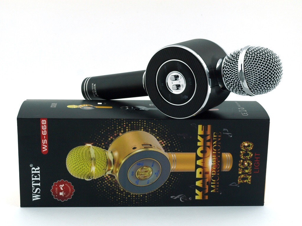 

Беспроводной микрофон DM Karaoke WS 668