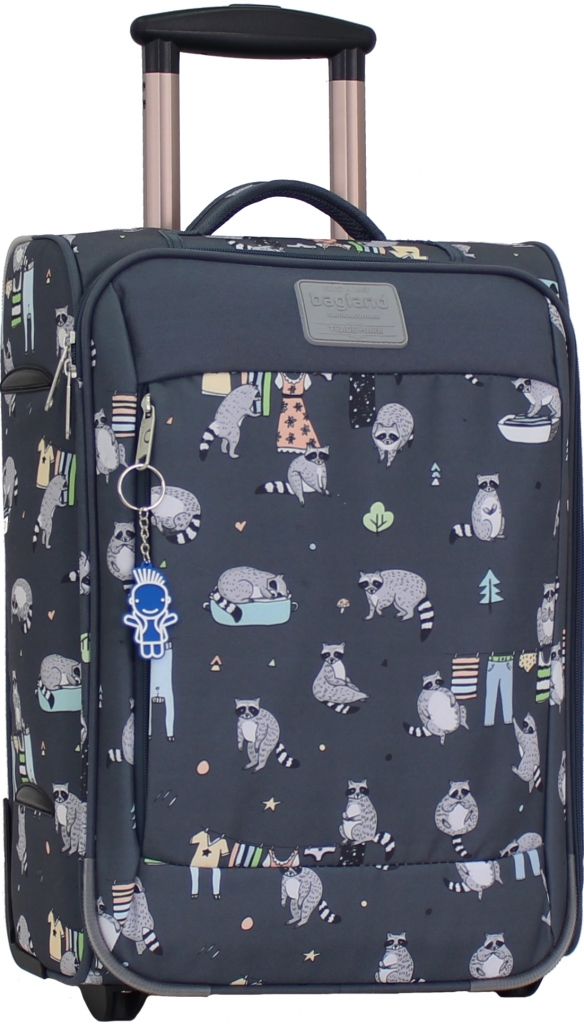

Чемодан Vichenzo 32 л. Bagland 47x33x21 см Разноцветный 000013593