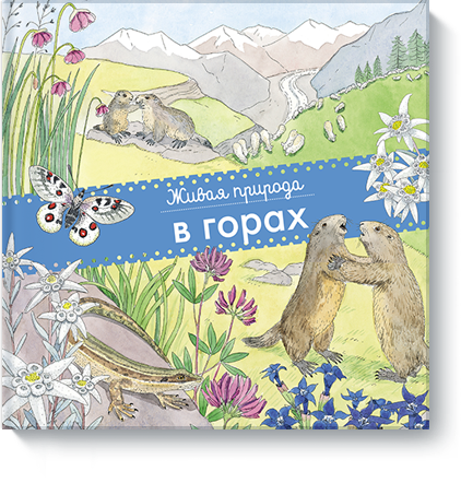 

Живая природа. В горах (978-5-00100-091-4 - 77948)