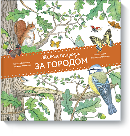 

Живая природа. За городом (978-5-00100-090-7 - 77947)