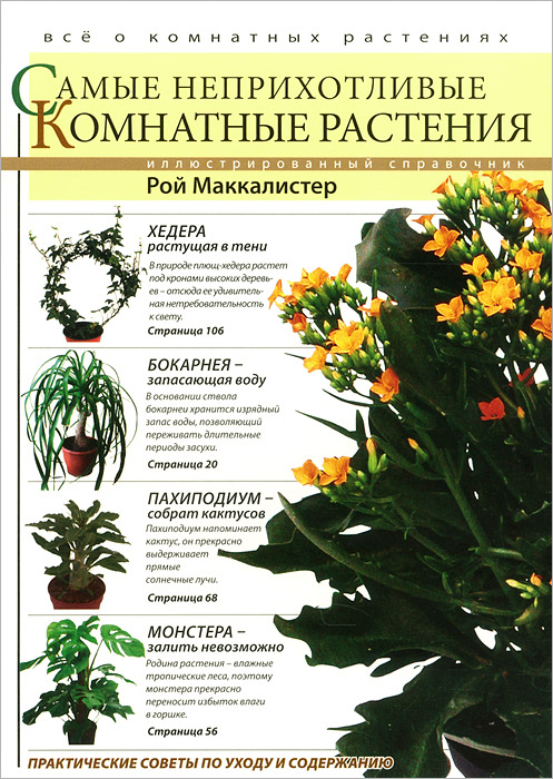 

Самые неприхотливые комнатные растения