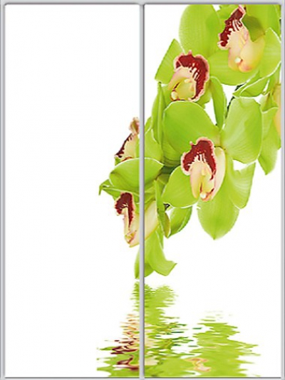 

Шкаф купе Luxe Studio Стандарт-1 Фотопечать Природа-4 1000x2000x600 двухдверный