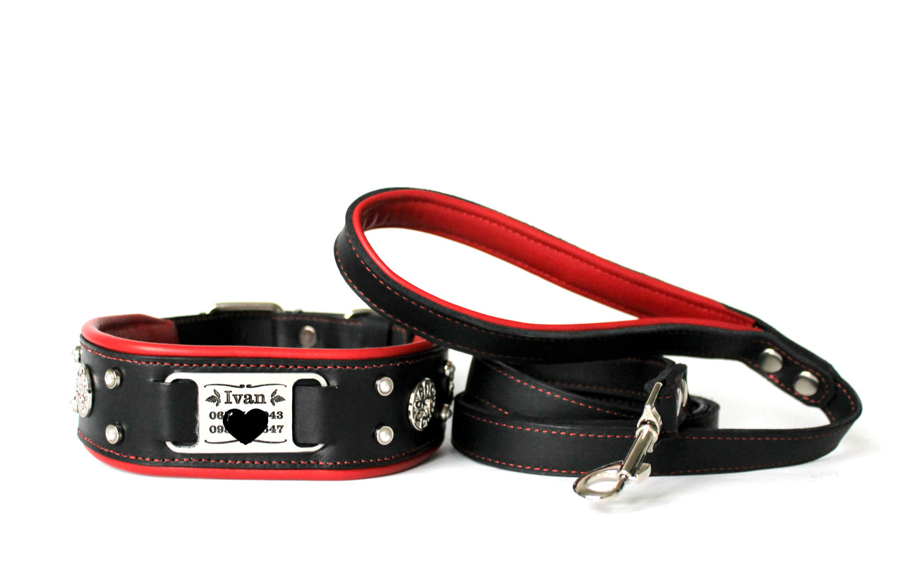 

Ошейник с поводком и адресником для собаки Lockdog L (45-55 см) Серый 000013764