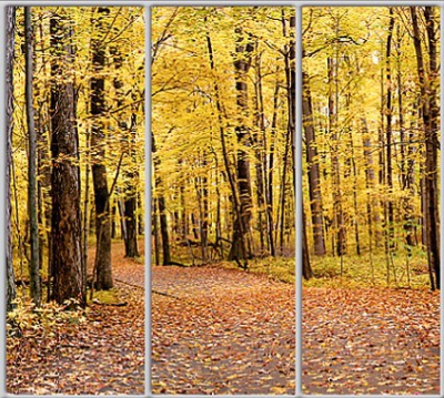 

Шкаф купе Luxe Studio Стандарт-1 Фотопечать Природа-78 2100x2000x450 трехдверный