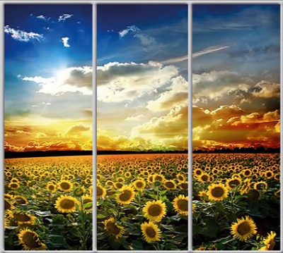 

Шкаф купе Luxe Studio Стандарт-1 Фотопечать Природа-187 2100x2100x450 трехдверный