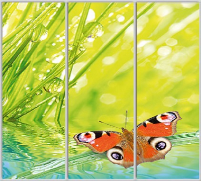 

Шкаф купе Luxe Studio Стандарт-1 Фотопечать Природа-228 2100x2100x450 трехдверный