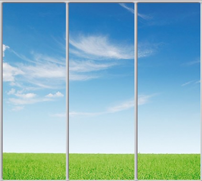 

Шкаф купе Luxe Studio Стандарт-1 Фотопечать Природа-81 2100x2000x450 трехдверный