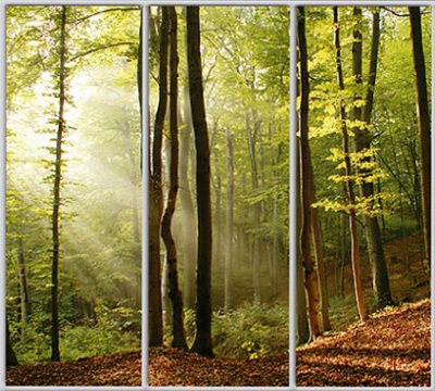 

Шкаф купе Luxe Studio Стандарт-1 Фотопечать Природа-176 2100x2000x450 трехдверный