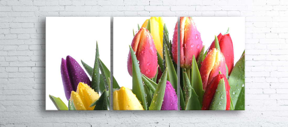 

Модульная картина на холсте 3 в 1 Тюльпани на белом 100х180 см