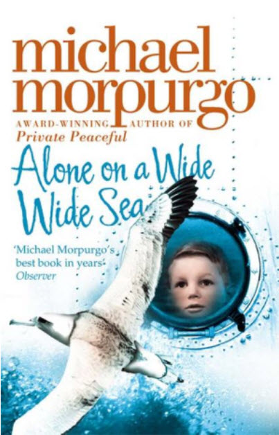 

Alone on a Wide Wide Sea