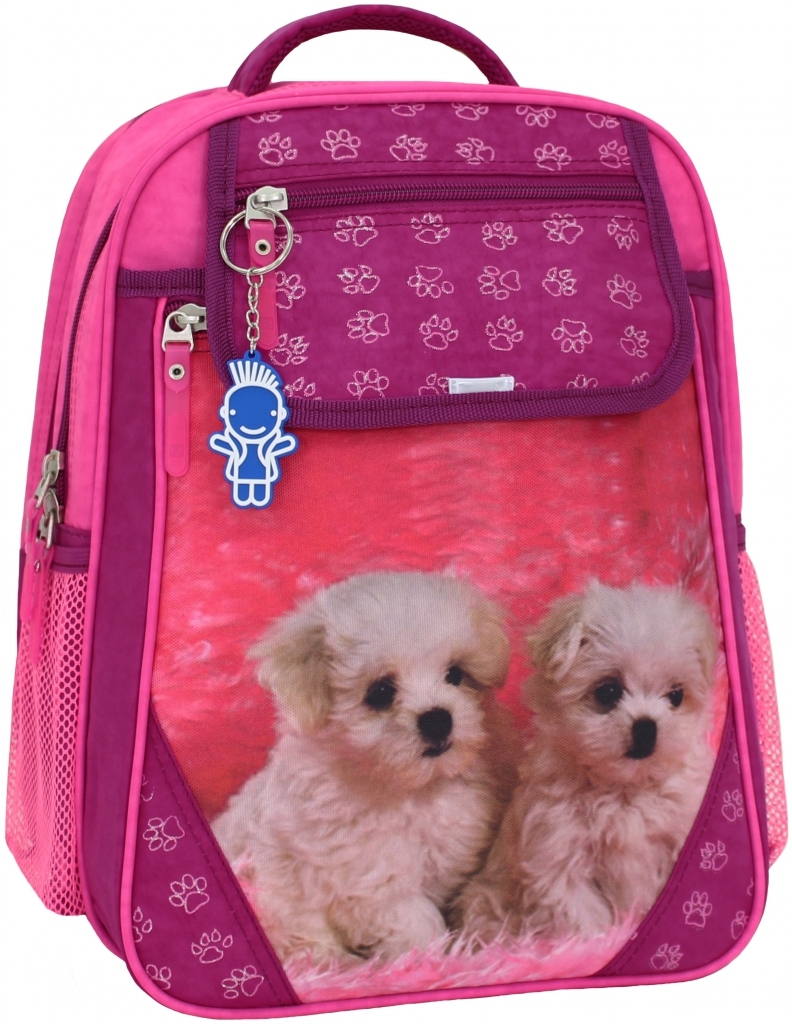 

Рюкзак школьный Отличник 20 л. Bagland 35х27х21 см Малиновый 000018644