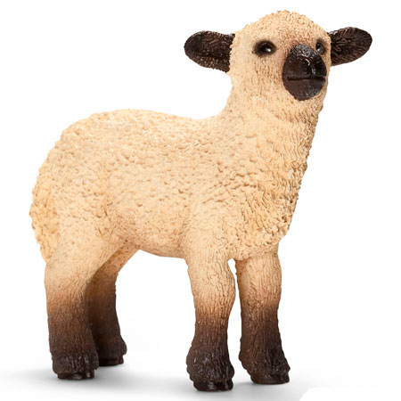 

Ягненок шропшир - игрушка-фигурка, Schleich (12-720)