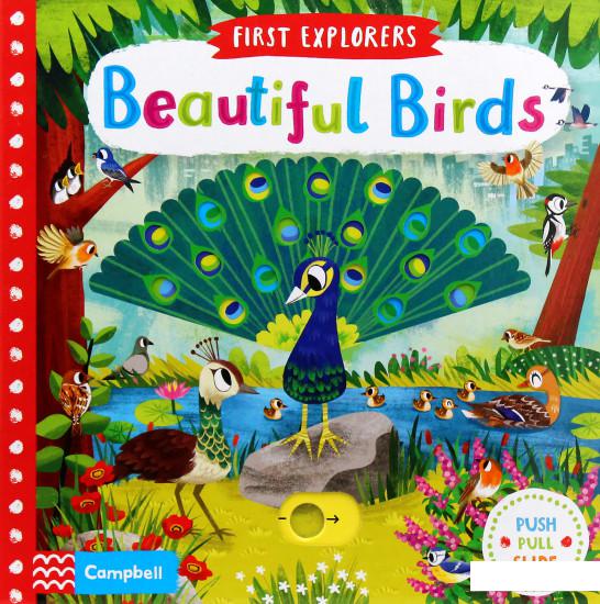 

Beautiful Birds (982266)