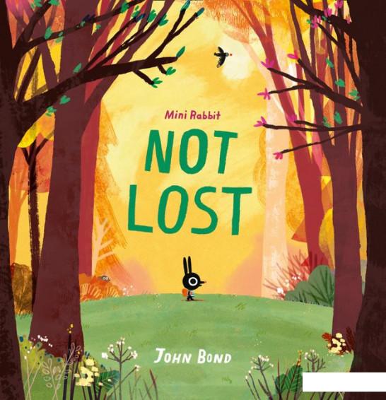 

Mini Rabbit. Not Lost (982730)
