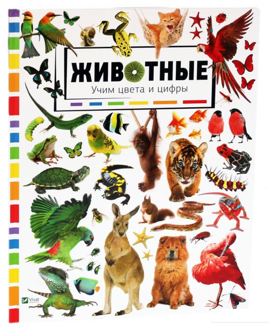 

Животные. Учим цвета и цифры (746682)
