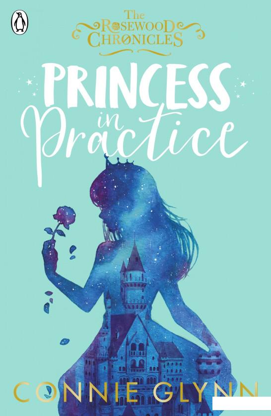 

Princess in Practice (962764)