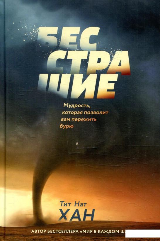 

Бесстрашие. Мудрость, которая позволит вам пережить бурю (876505)