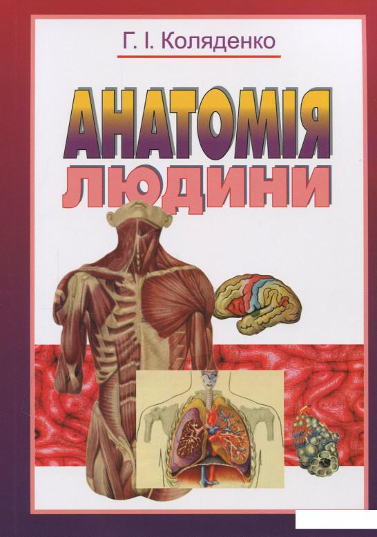 

Анатомія людини. Підручник (871695)
