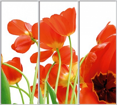 

Шкаф купе Luxe Studio Стандарт-1 Фотопечать Природа-141 2200x2100x450 трехдверный