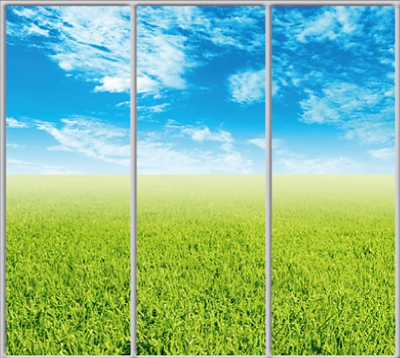 

Шкаф купе Luxe Studio Стандарт-1 Фотопечать Природа-15 2200x2300x450 трехдверный