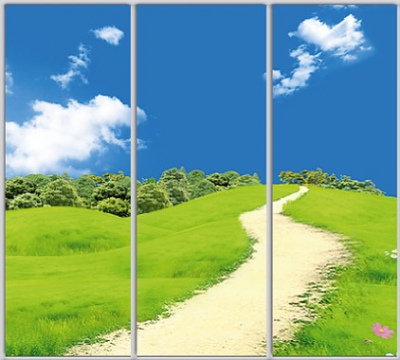 

Шкаф купе Luxe Studio Стандарт-1 Фотопечать Природа-183 2200x2100x450 трехдверный