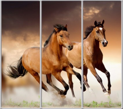 

Шкаф купе Luxe Studio Стандарт-1 Фотопечать Животные-4 2200x2200x450 трехдверный