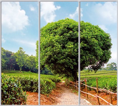 

Шкаф купе Luxe Studio Стандарт-1 Фотопечать Природа-156 2200x2200x450 трехдверный