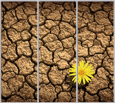 

Шкаф купе Luxe Studio Стандарт-1 Фотопечать Природа-12 2200x2300x450 трехдверный