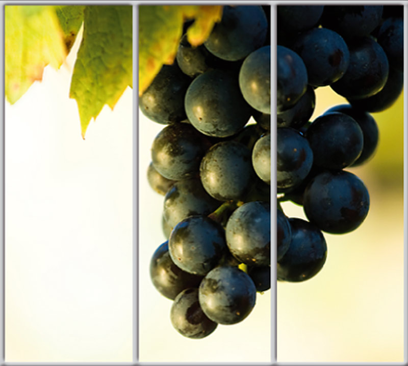 

Шкаф купе Luxe Studio Стандарт-1 Фотопечать Природа-124 2100x2300x450 трехдверный